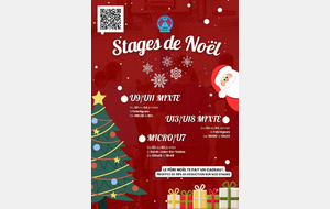 STAGE DE NOËL 2024/2025 U13/U15/U18 MIXTE